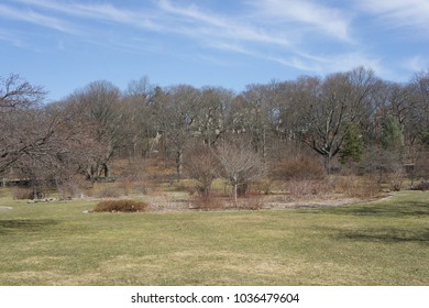 Field In The Arnold Arboretum, Late Winter. Arnold Arboretum Is Part Of The Park System Around Boston Known As 