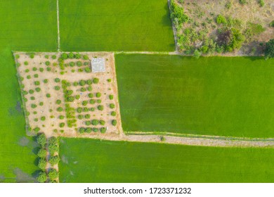 Field Background, Top View Landscape, Nature
