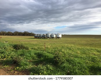 Field Bins Full Of Cereal Grain In A Green Grassed Paddock In The Murray Mallee South Australia.