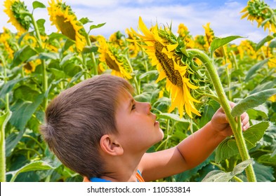 3,633 Boy smelling flowers Images, Stock Photos & Vectors | Shutterstock