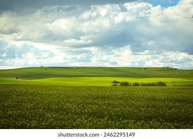 field and blue sky with clouds