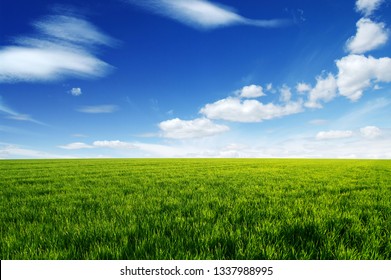 Field Blue Sky White Clouds Stock Photo 1337988995 