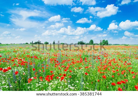 Similar – Image, Stock Photo red corn poppy flower in foreground, black dust vessels, macro