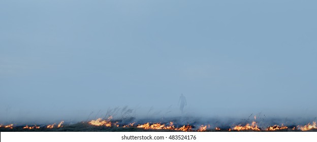 92,790 Fire On Field Images, Stock Photos & Vectors | Shutterstock