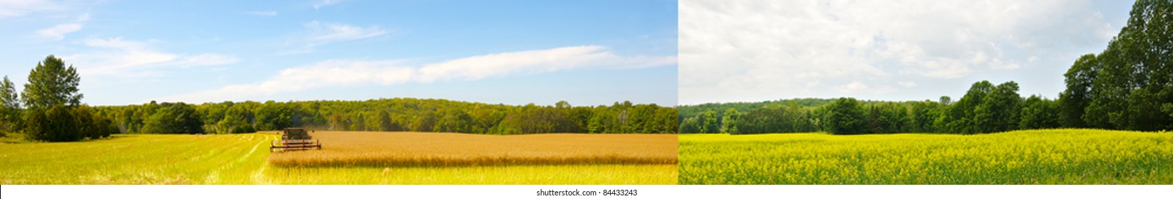 A Field Of Canola In The Fall And Early In The Summer. Wide Angle.
A Revised Version With All Four Seasons Is Now In My Portfolio.