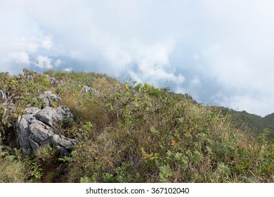 Field and cloud on the mountain.