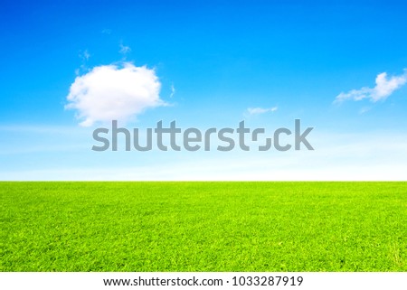 Field, clouds and sky