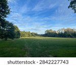 Field with clouds and trees