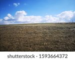 Field with cloudy sky in the back 