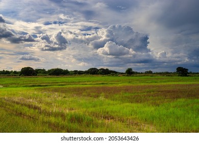 Field and cloudy sky moving clouds - Shutterstock ID 2053643426