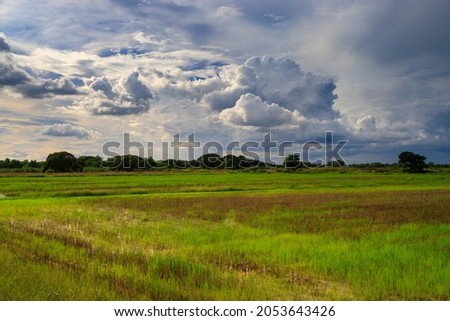 Field and cloudy sky moving clouds