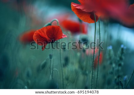 Similar – #A# Red field Art Esthetic