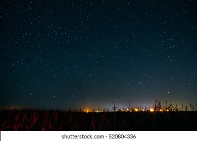 A Field Of Corn And Starry Night Sky With Shooting Star