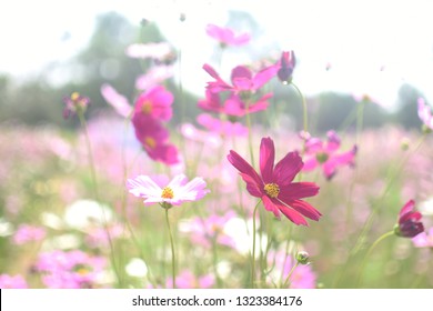 Stock Photo and Image Portfolio by BEJITA | Shutterstock