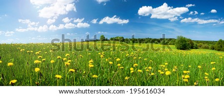 Similar – Image, Stock Photo A meadow with dandelions and dandelions in the morning dew.