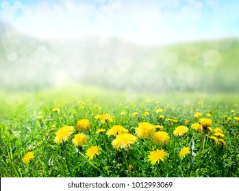 The field of dandelions. Nature background. - Powered by Shutterstock