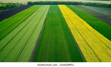 field of different crops, shooting from a drone - Shutterstock ID 2164258951