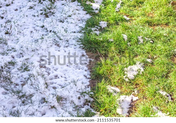 The field is divided in half,\
half with green grass, half covered with snow. Winter and\
spring.