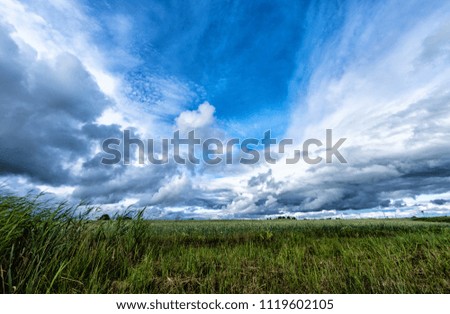 Field and dramatic sky