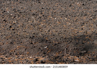 Field Earth Chernozem In Summer