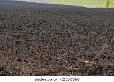 Field Earth Chernozem In Summer