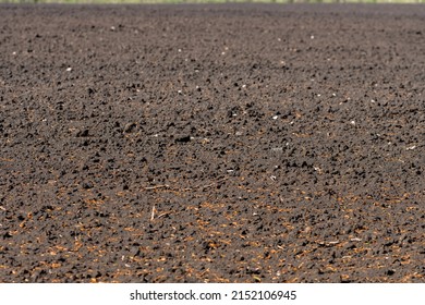 Field Earth Chernozem In Summer