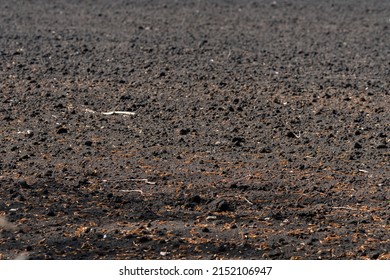 Field Earth Chernozem In Summer