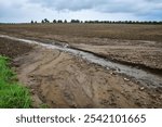 Field erosion erosive water stream in agriculture landscape environmental damage of farmland, endangered earth