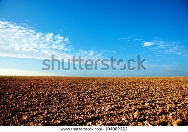 Field in the
fall