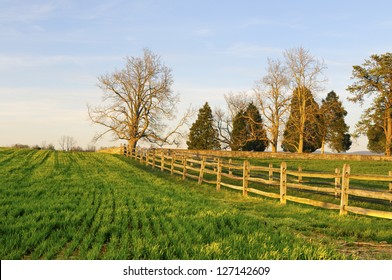 Field and Fence in Late Afternoon Sun