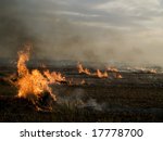 Field Fire