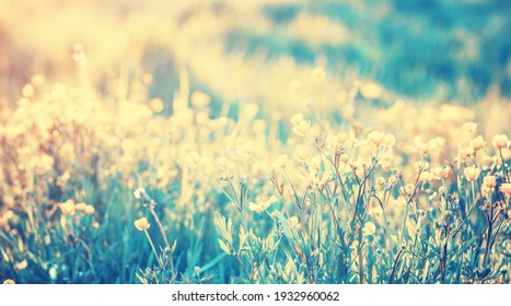 Printemps Paysage High Res Stock Images Shutterstock