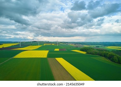 The Field Of Flowers An Agriculture With A Cloudy Sky Aerial View.