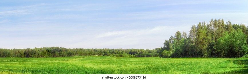 Field And Forest On The Horizon Wide Angle Scenic View. Extra Large Panoramic Landscape.