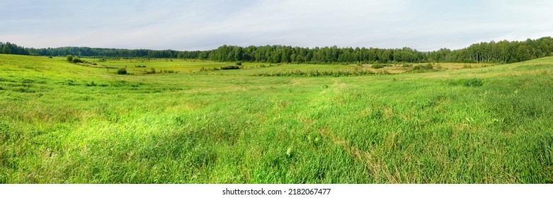 Field and forest on the horizon wide angle scenic view. Extra large panoramic landscape. - Shutterstock ID 2182067477