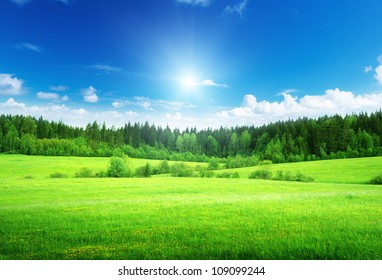 field and forest in spring time