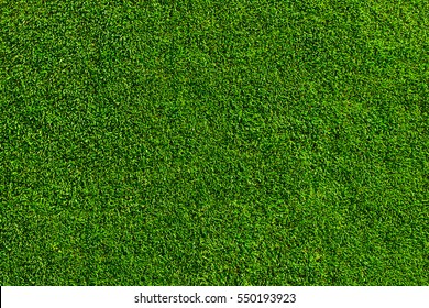 Field of fresh green grass texture as a background, top close up view, horizontal