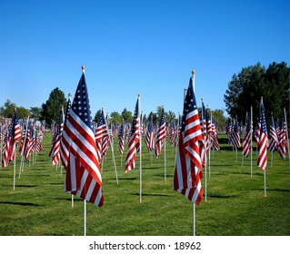 Field Full of American Flags