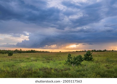 A field of grass with a cloudy sky in the background. The sky is dark and the sun is setting