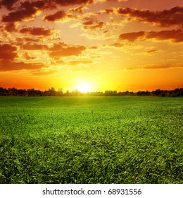 Field Of Grass And Colorful Sunset.