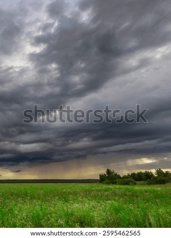 Field of grass is covered in clouds and the sky is dark. Scene is somber and foreboding