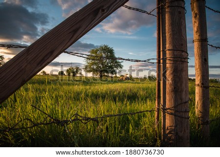 A field of grass and cows in College Station, Brazos county is illustrated with a tractor resting beside a large tree in this Texas meadow as seen through a barbed wire fence.