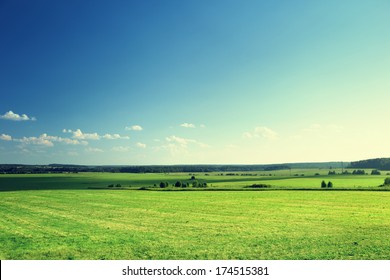 field of grass and forest Stock Photo