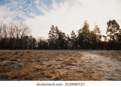 A field of grass with a path in the middle. Frost on the grass. The sky is cloudy and the sun is shining through the clouds - Powered by Shutterstock