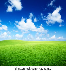 Field Of Grass And Perfect Blue Sky