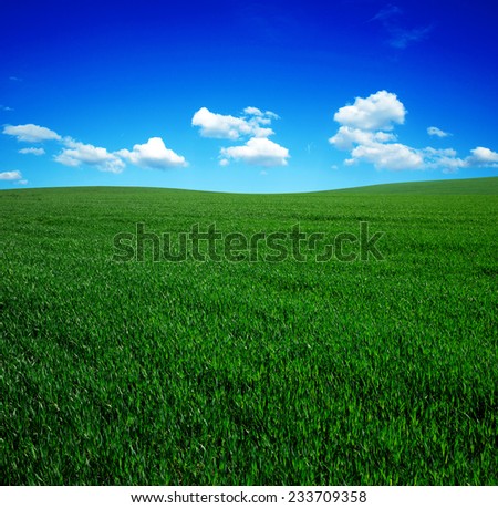 Similar – Image, Stock Photo growing maize field