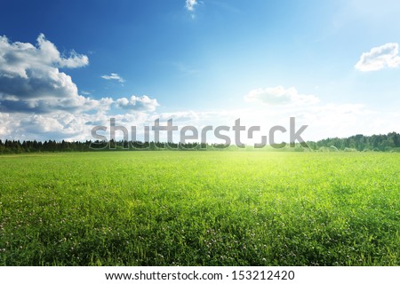 Similar – Image, Stock Photo Landscape with meadows, fields and trees in morning sun and fog