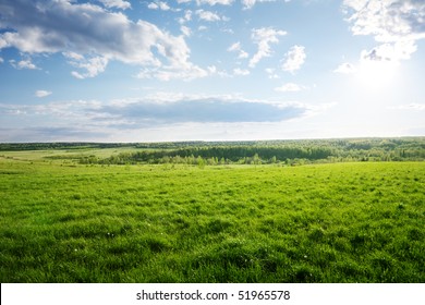 Field Of Grass And Perfect Sunset Sky