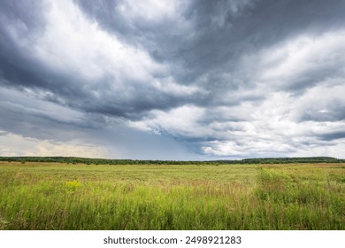 A field of grass is shown with a stormy sky in the background. The sky is dark and cloudy, and the grass is green and dry. Scene is somber and foreboding - Powered by Shutterstock