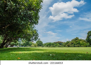 Field Of Grass With Sky In The Background.